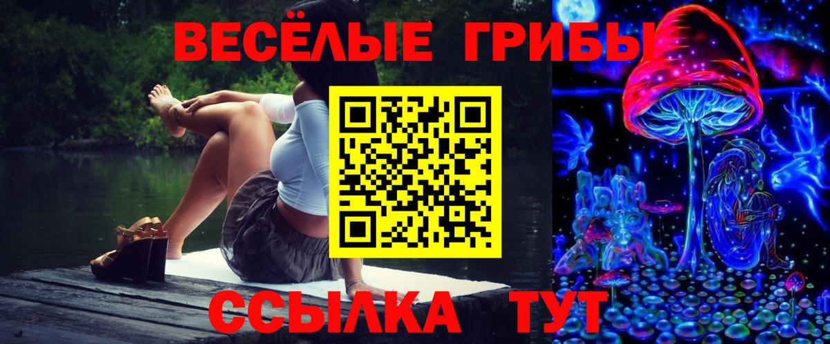 Псилоцибиновые грибы Psilocybine cubensis  Вход с VPN  Донецк 